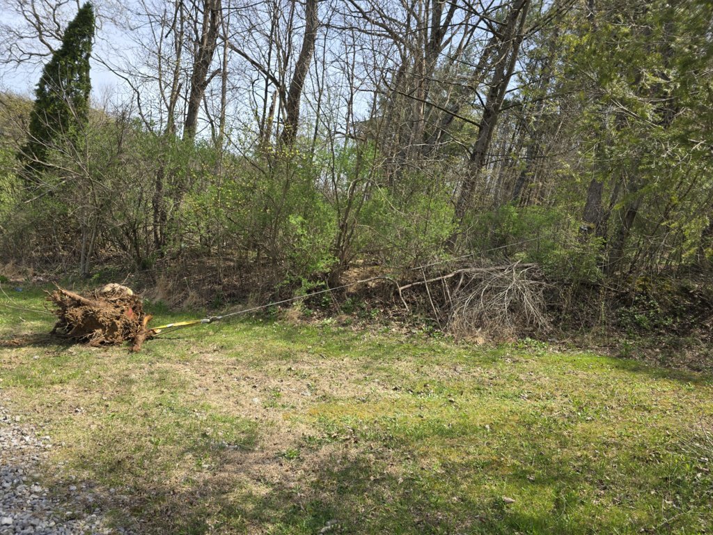 20250420_121749.jpg