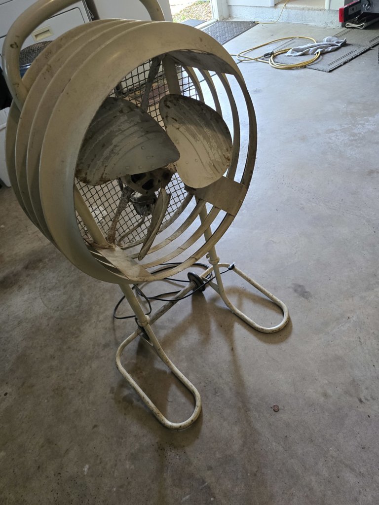 20250420_131037.jpg