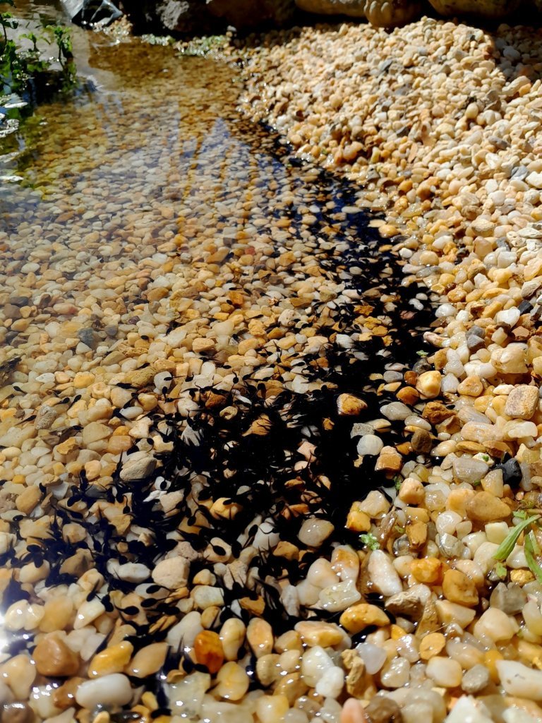 20250423_151237.jpg