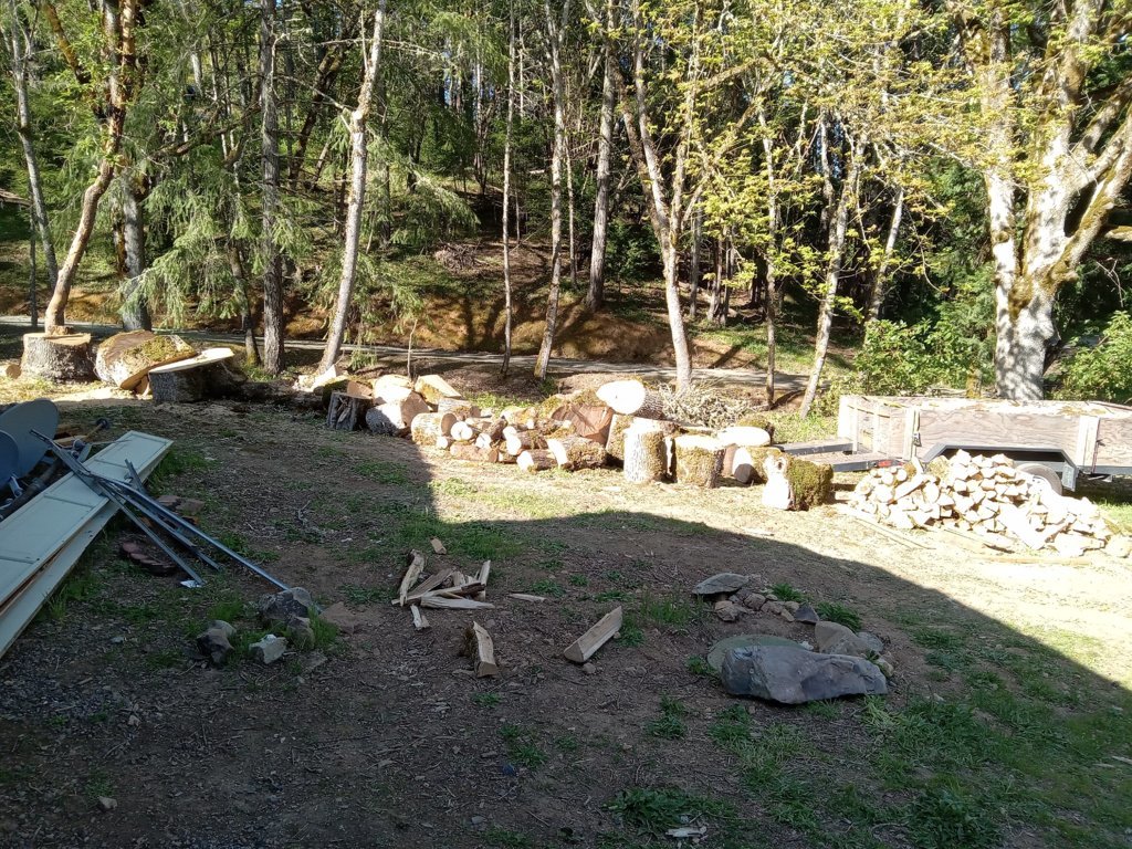 20250423_165819.jpg