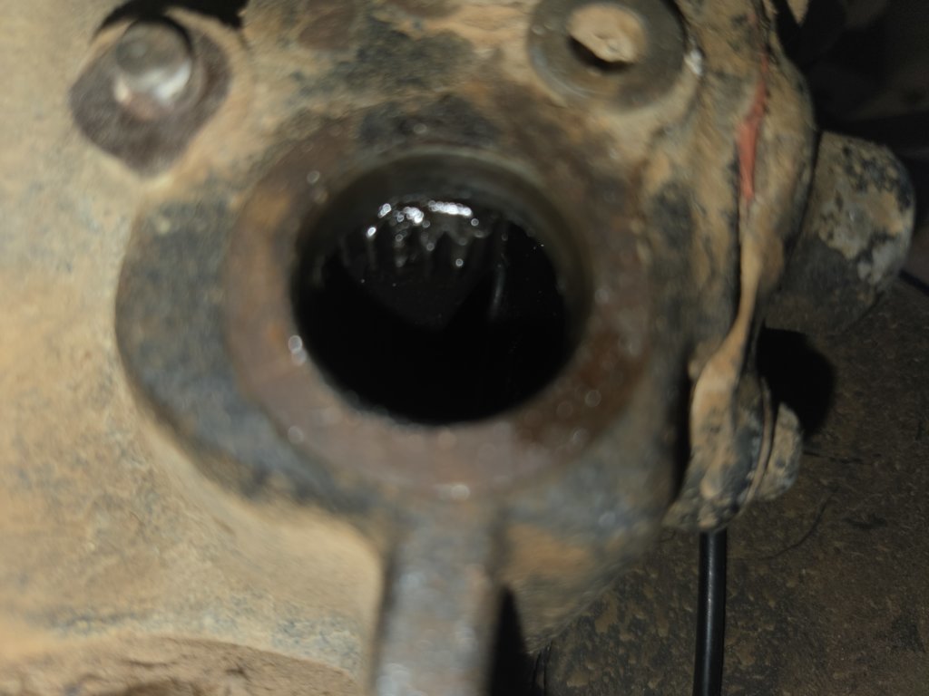 20250429_161240.jpg