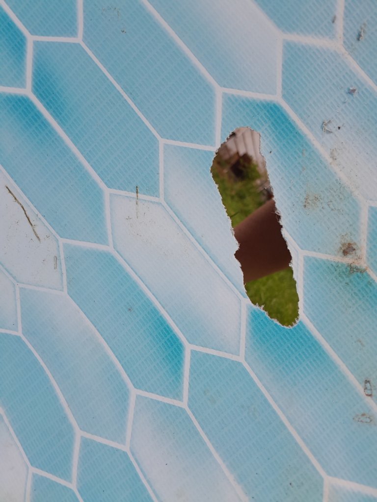 20250501_185955.jpg