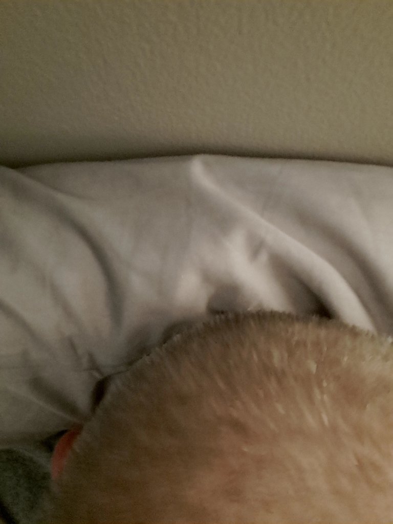 20250501_205841.jpg