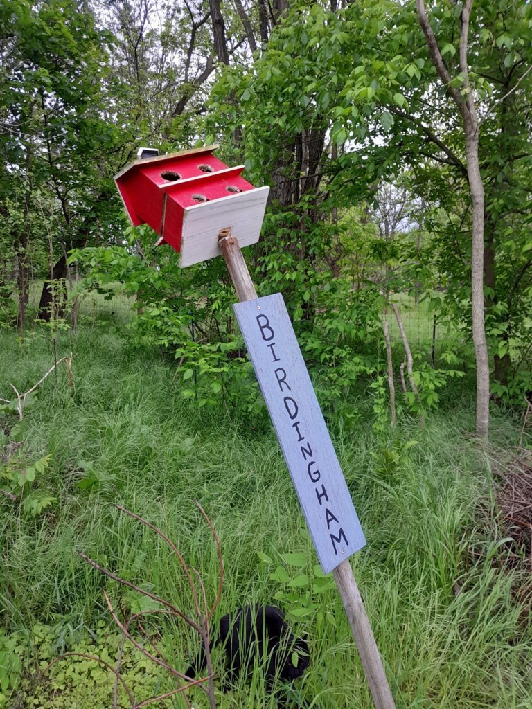 20250506_145750.jpg