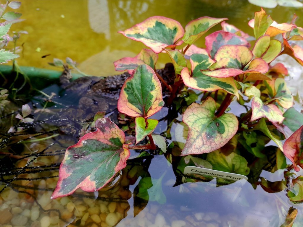 20250506_145959.jpg