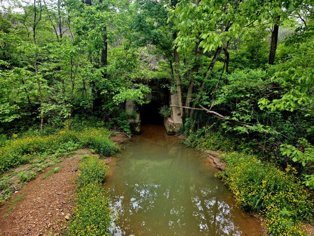20250507_133559.jpg