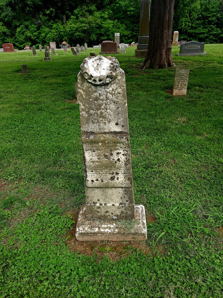20250507_144137.jpg