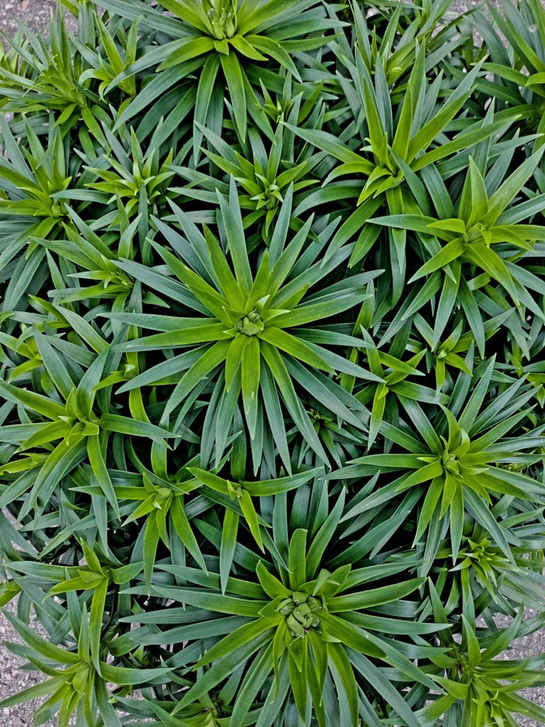 20250510_175049.jpg