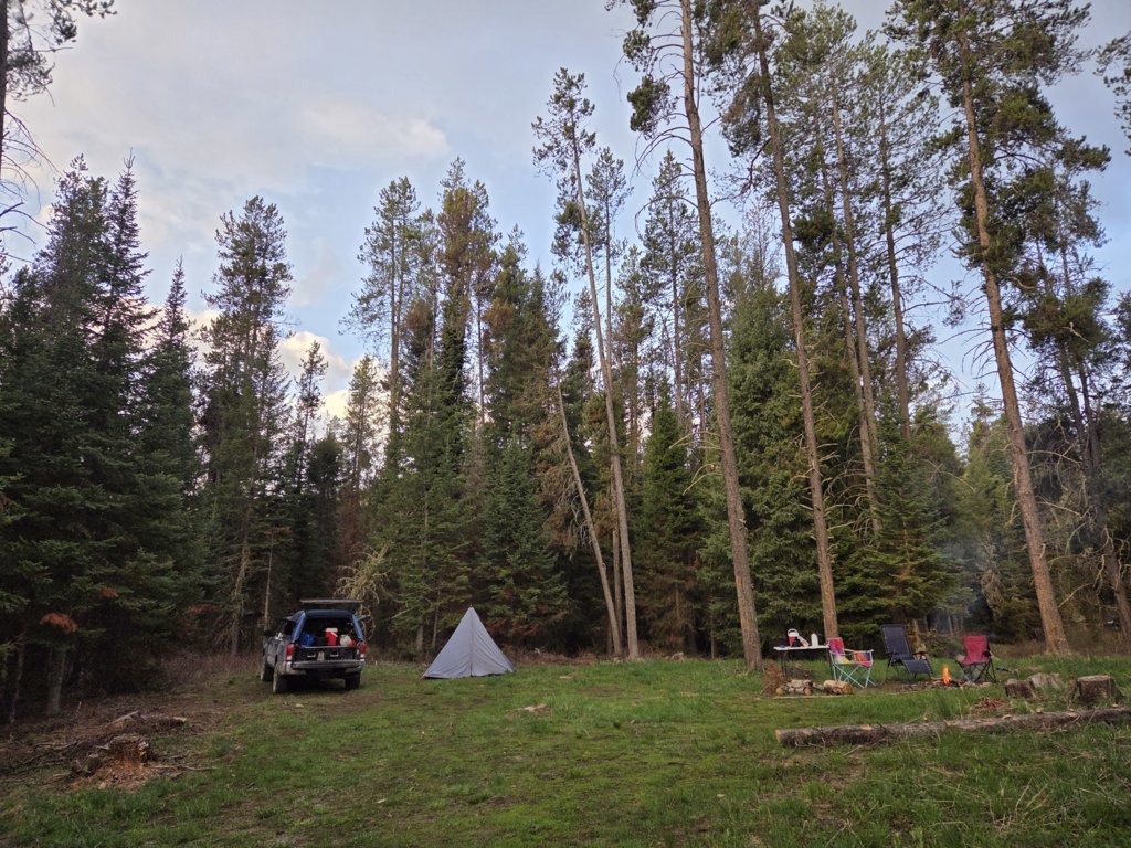 20250511_063556.jpg