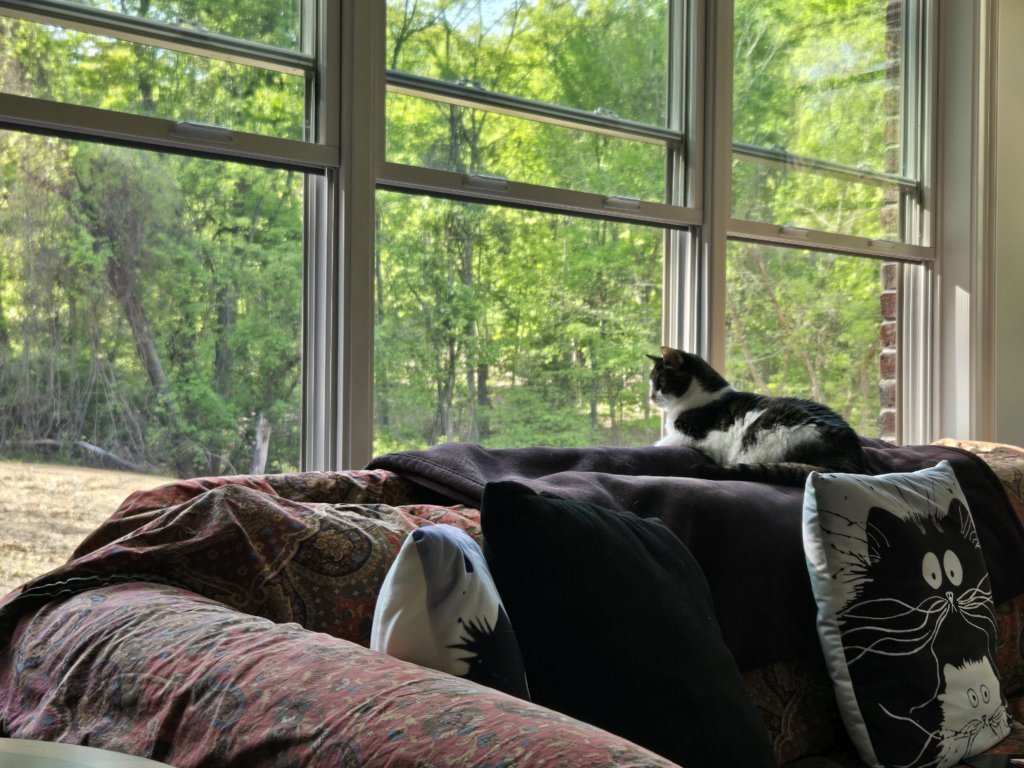 20250511_172645.jpg