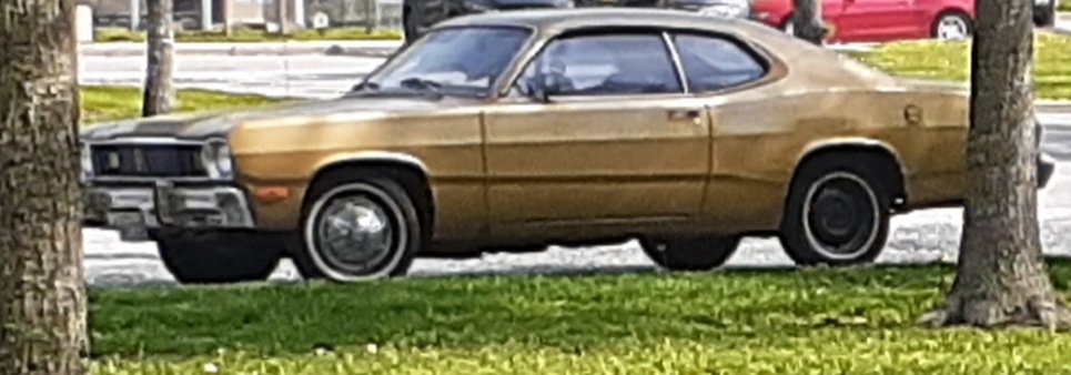 20250512_171134.jpg
