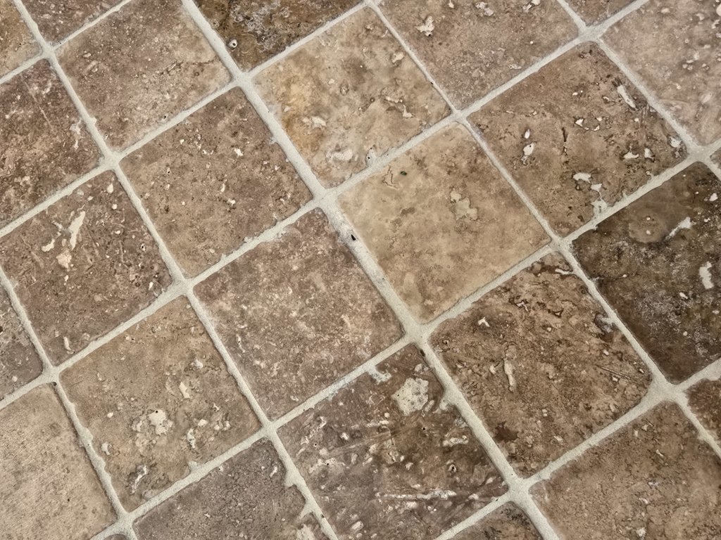20250513_102701.jpg