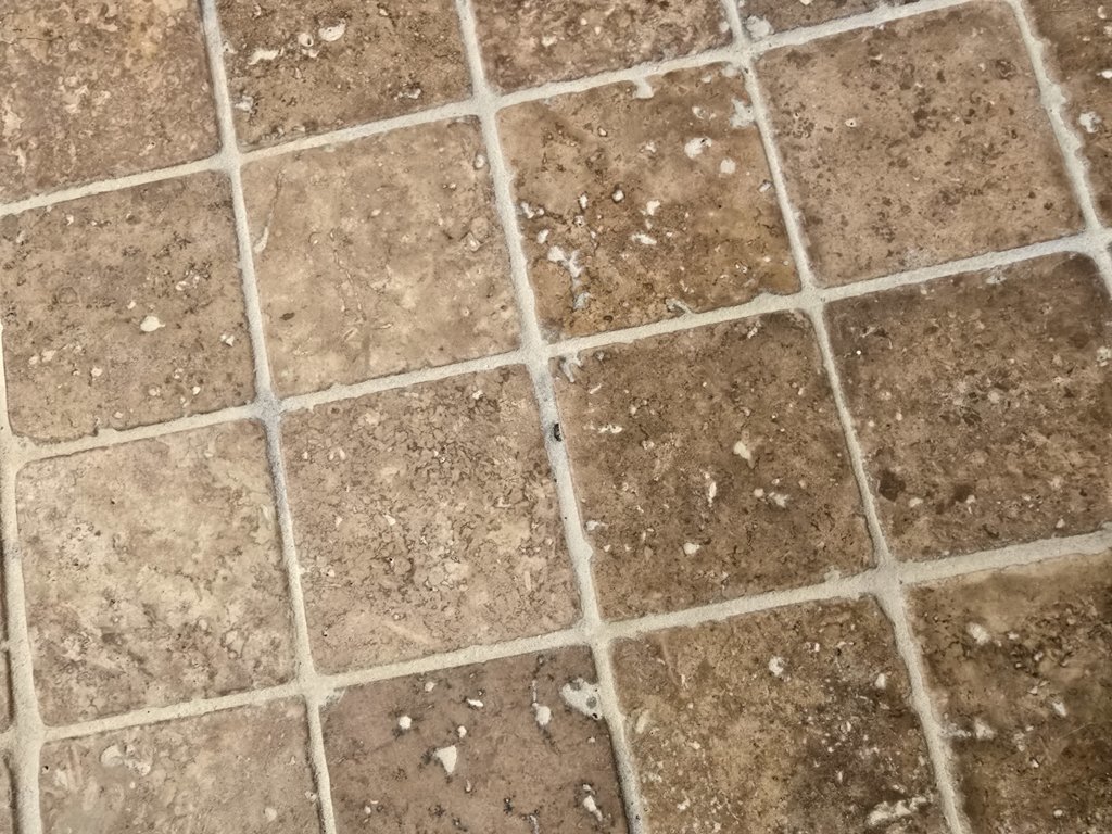 20250513_102709.jpg