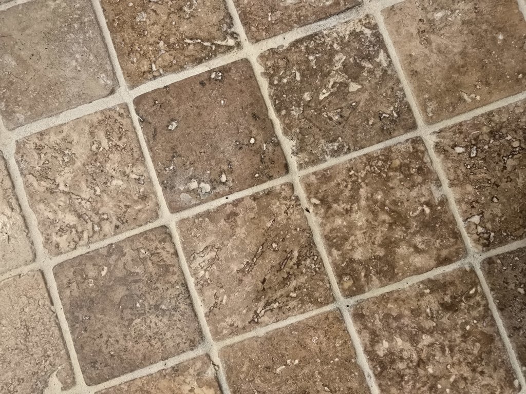 20250513_102723.jpg
