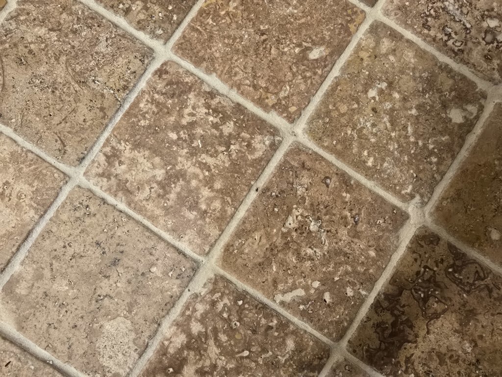 20250513_102823.jpg