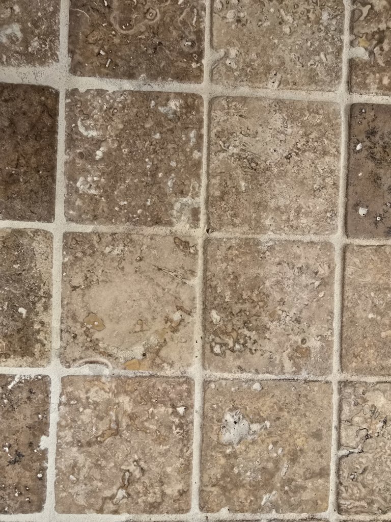 20250513_102851.jpg