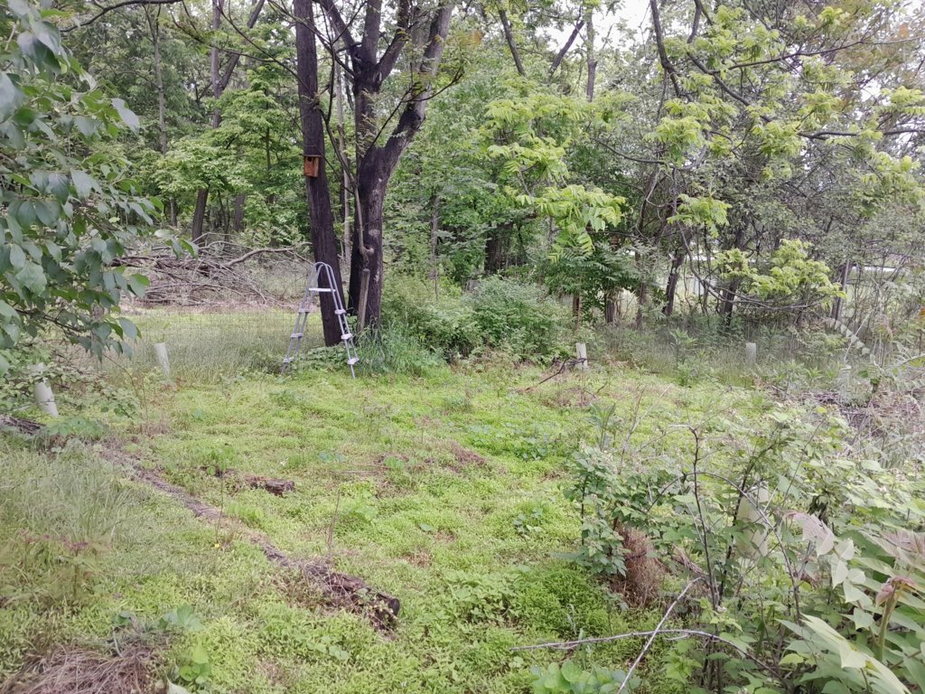 20250519_121058.jpg