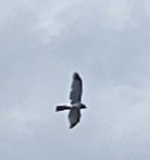 20250521_141046.jpg