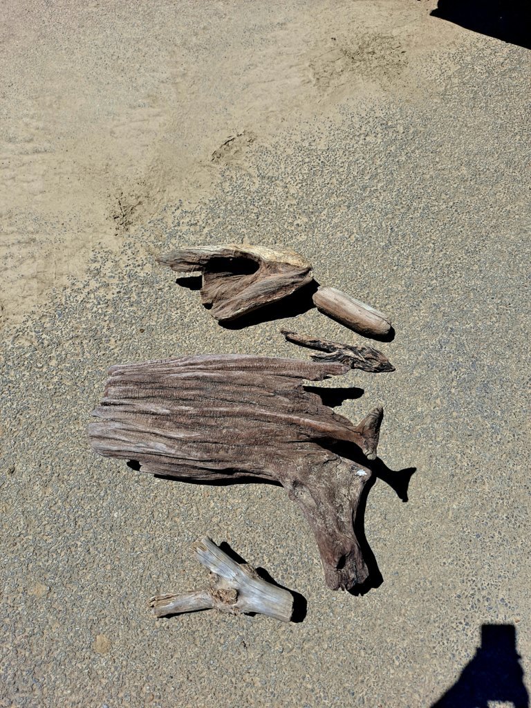 20250521_141843.jpg