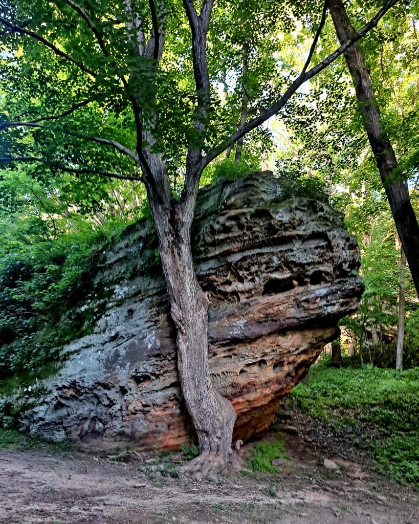 20250521_185020.jpg