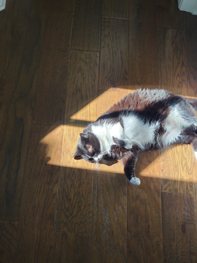 20250522_090206.jpg