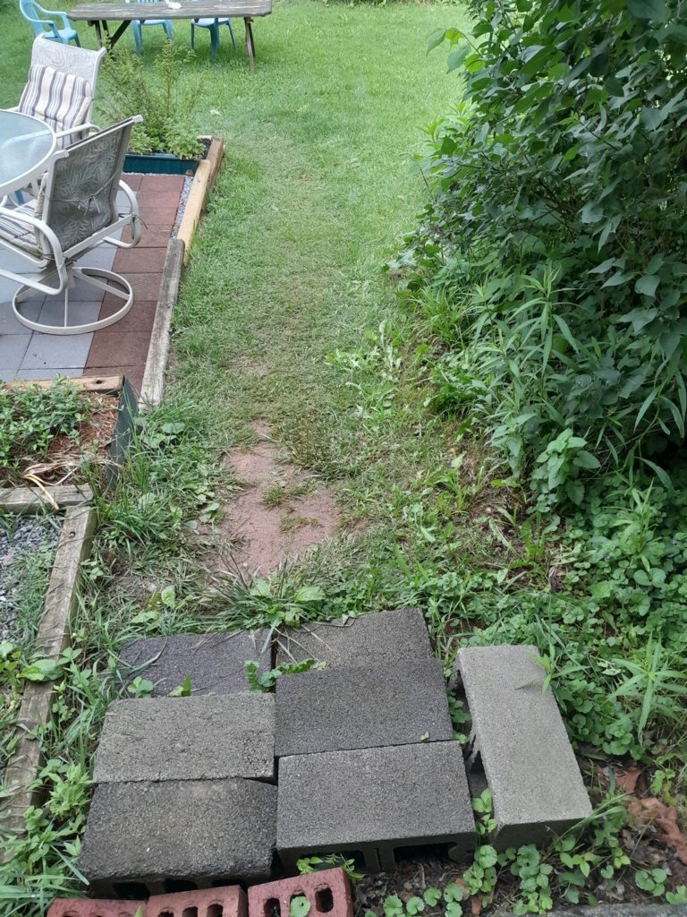 20250522_144532.jpg