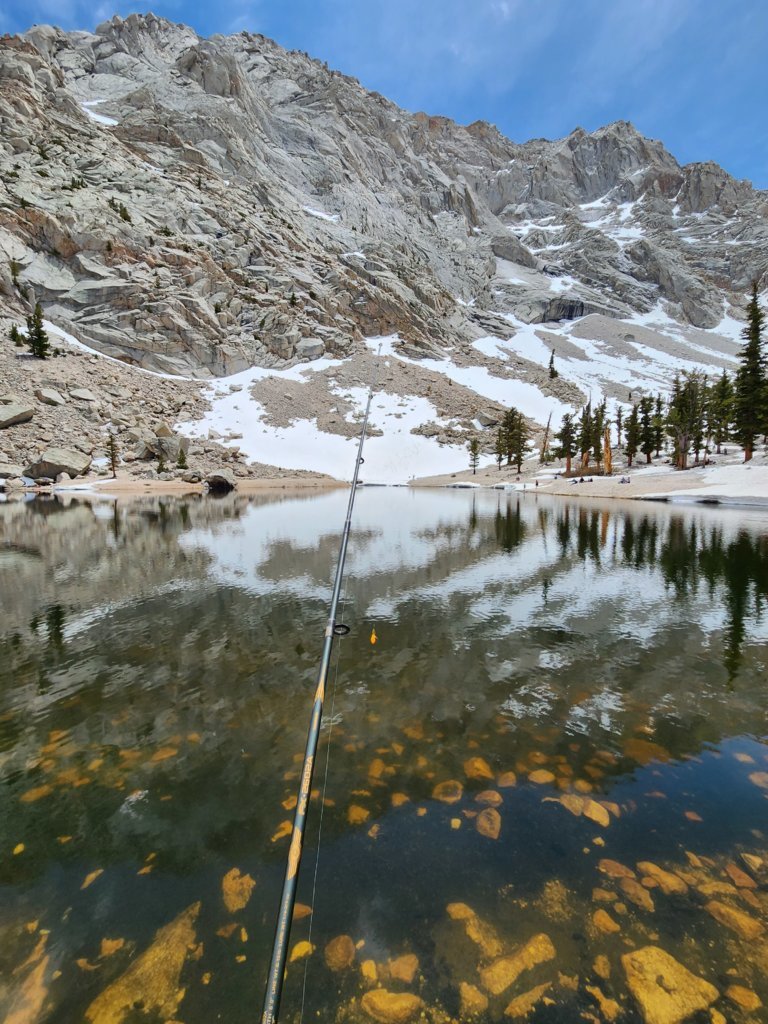 20250524_124951.jpg
