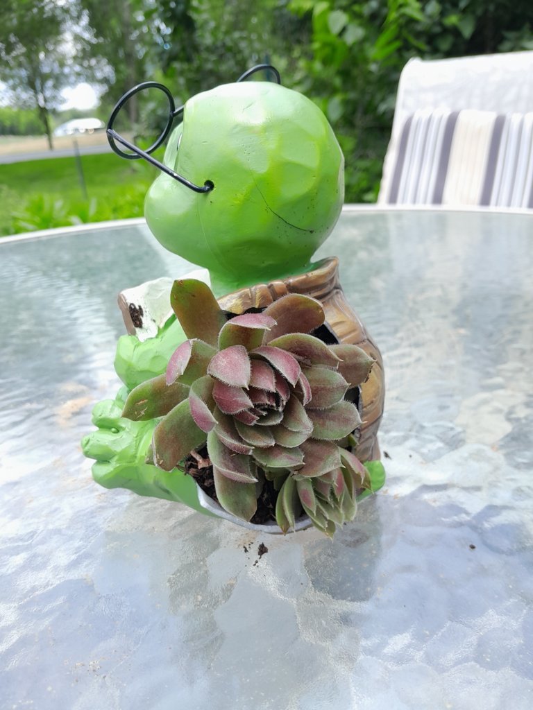 20250524_125606.jpg