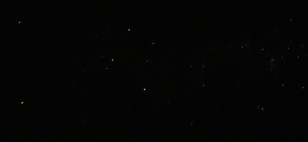 20250524_195631.jpg