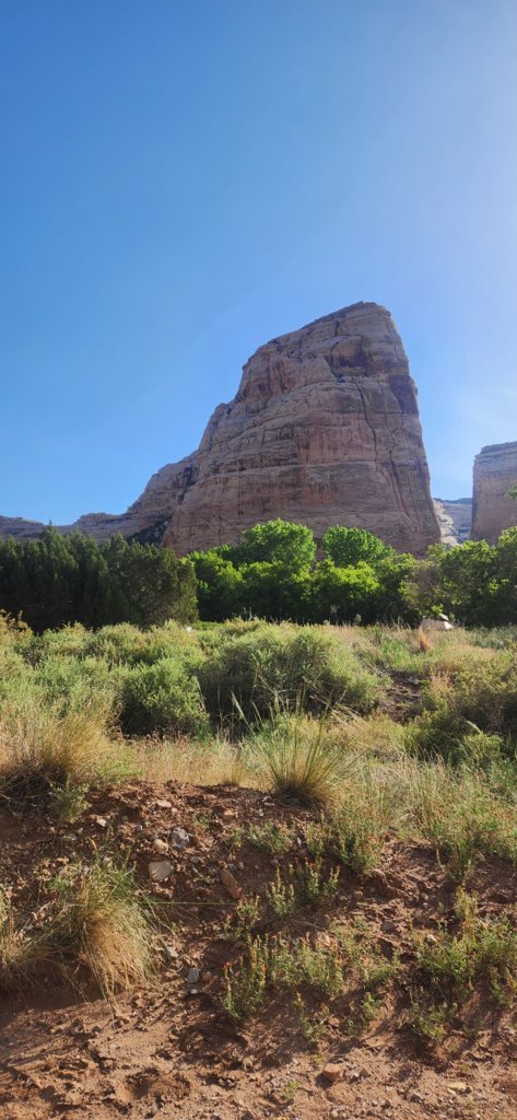 20250525_080915.jpg