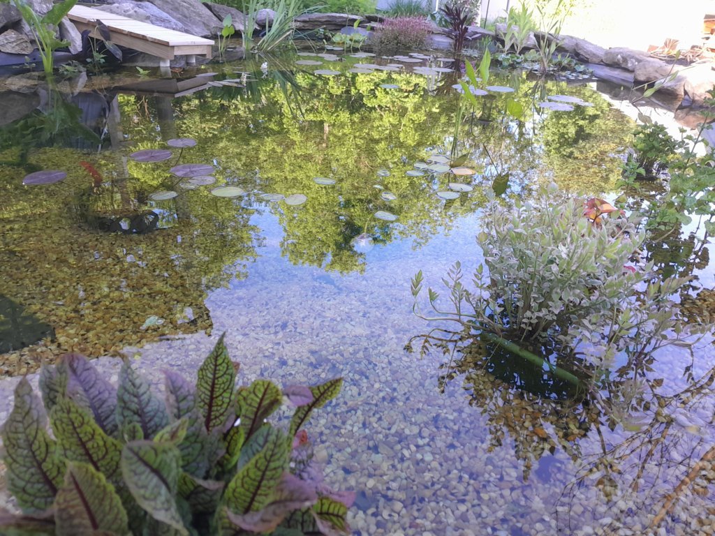 20250525_084033.jpg