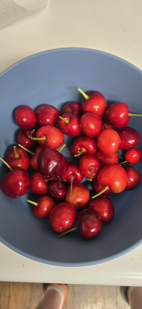20250525_112044.jpg