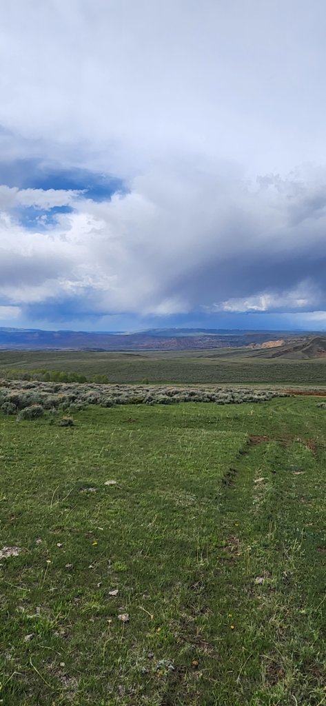 20250525_165523.jpg