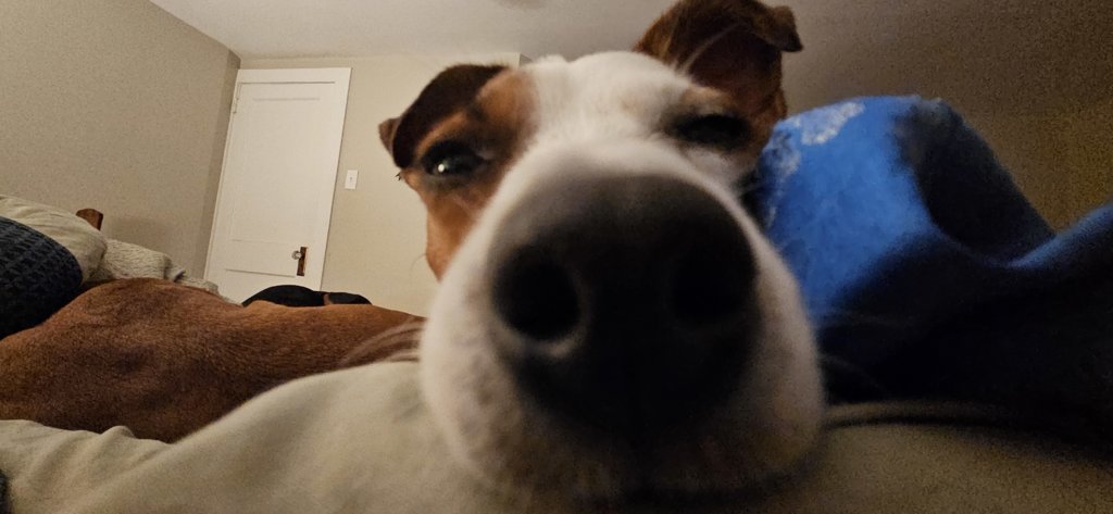 20250527_215016.jpg