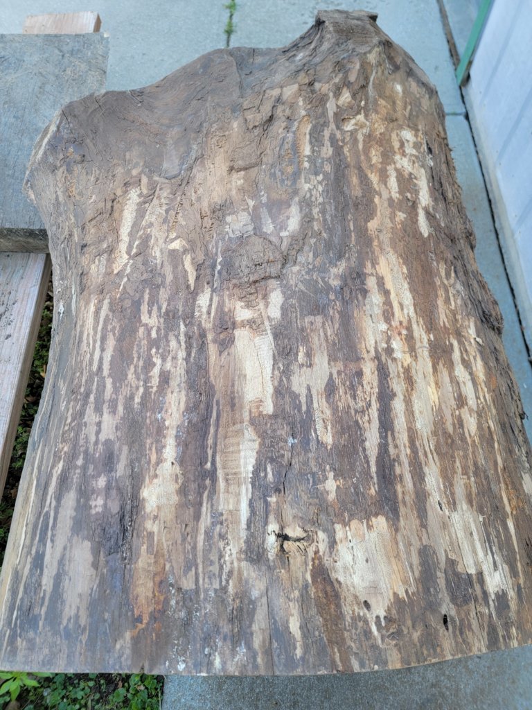 20250529_154750.jpg