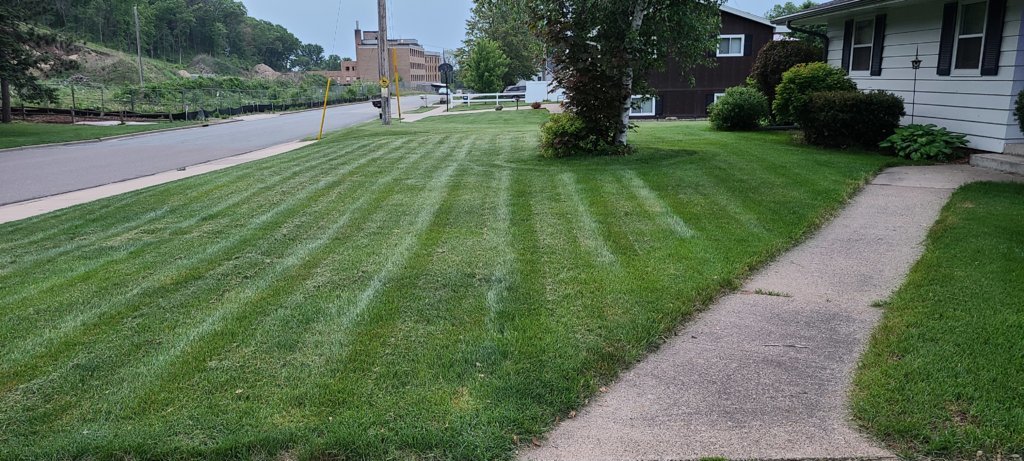 20250530_053125.jpg