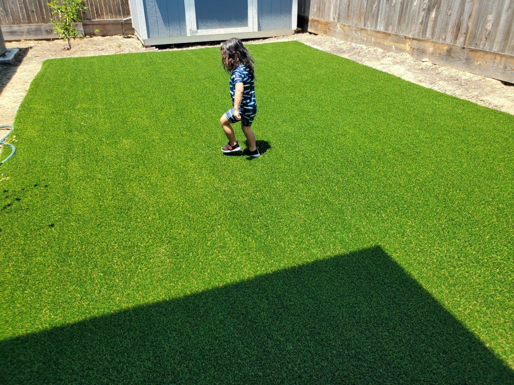 20250530_123824.jpg