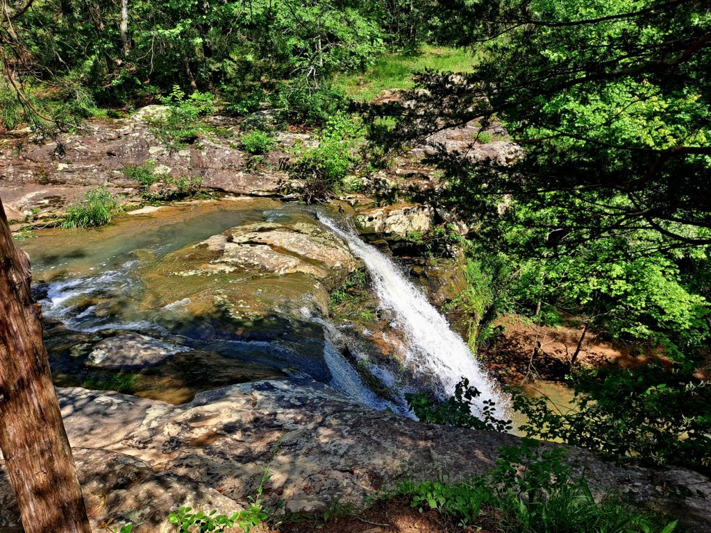 20250530_153231.jpg