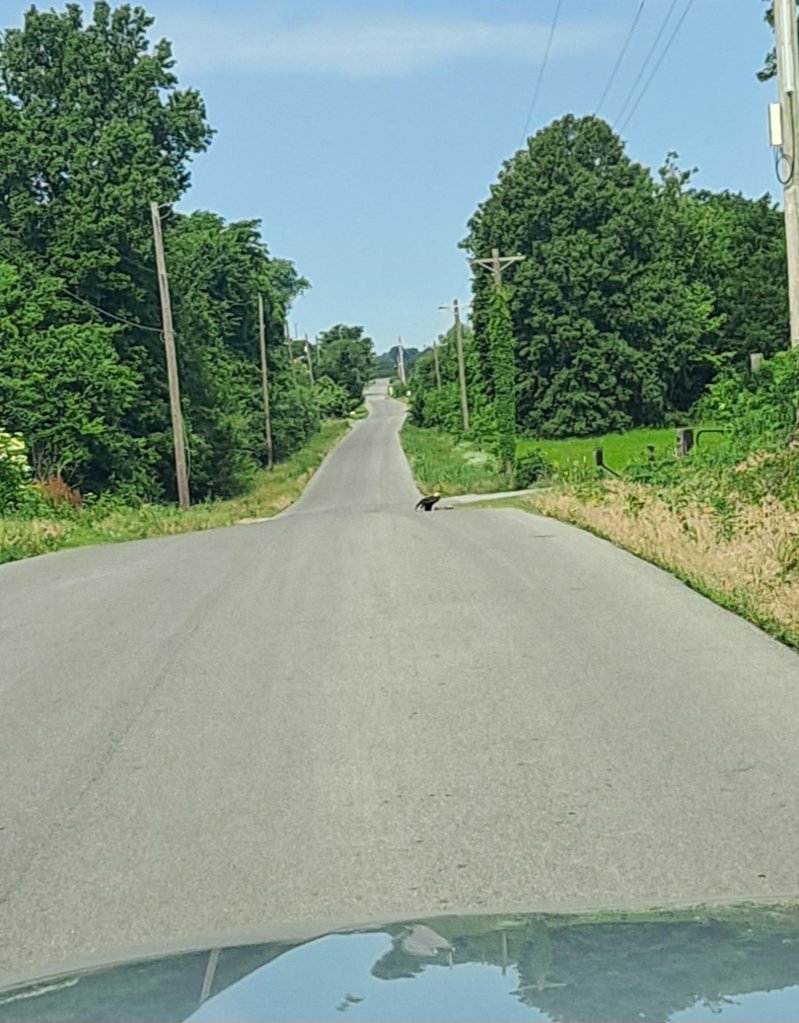 20250601_093450.jpg