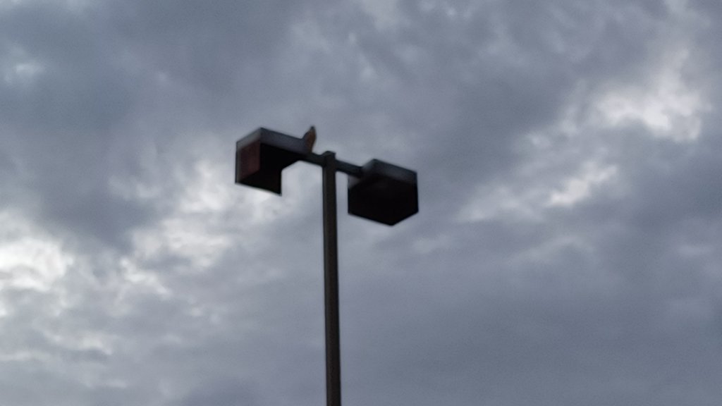 20250602_193753.jpg
