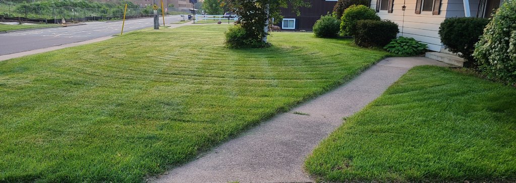 20250605_053646.jpg