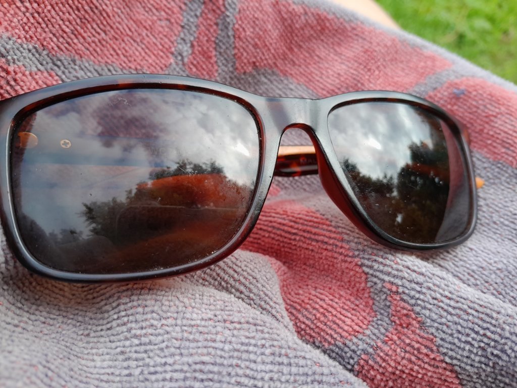 20250607_112242.jpg