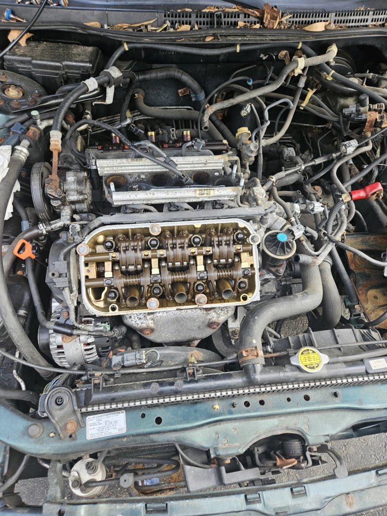 20250608_082053.jpg