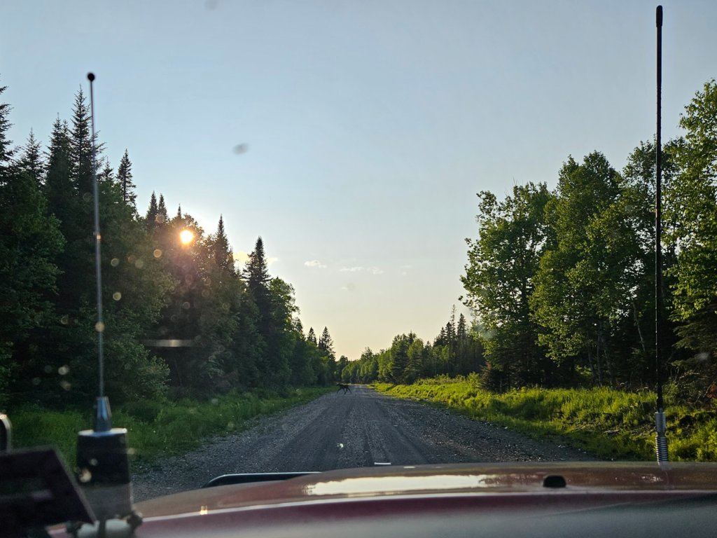 20250614_190126[1].jpg