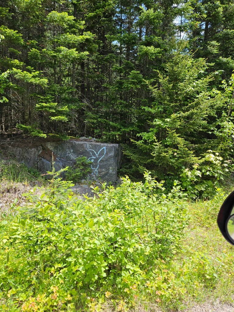 20250615_115445[1].jpg