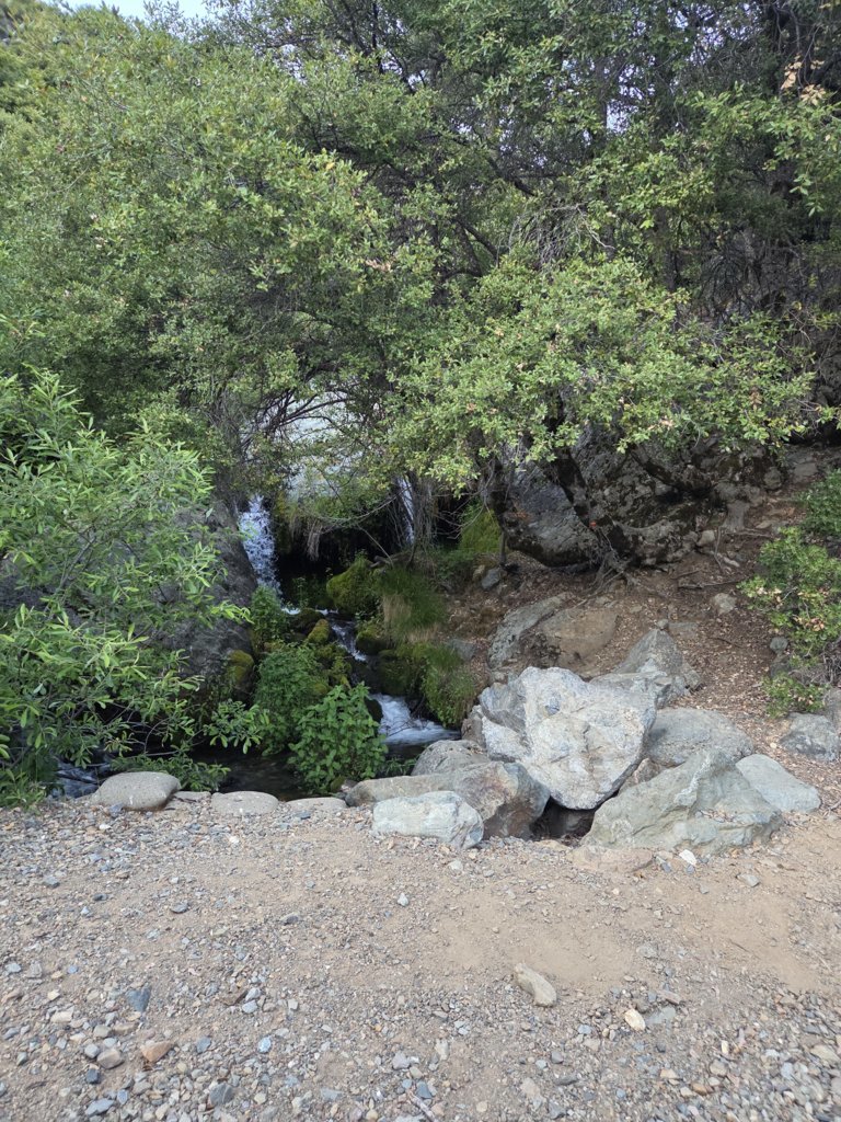 20250617_200905.jpg