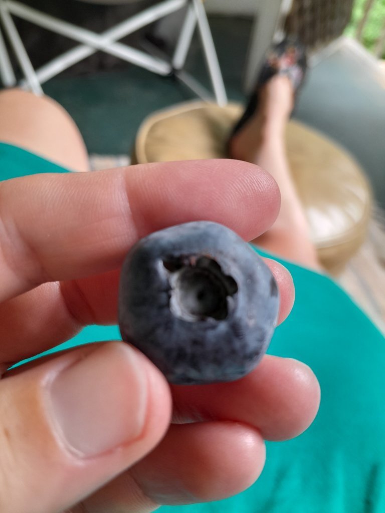 20250618_123017.jpg