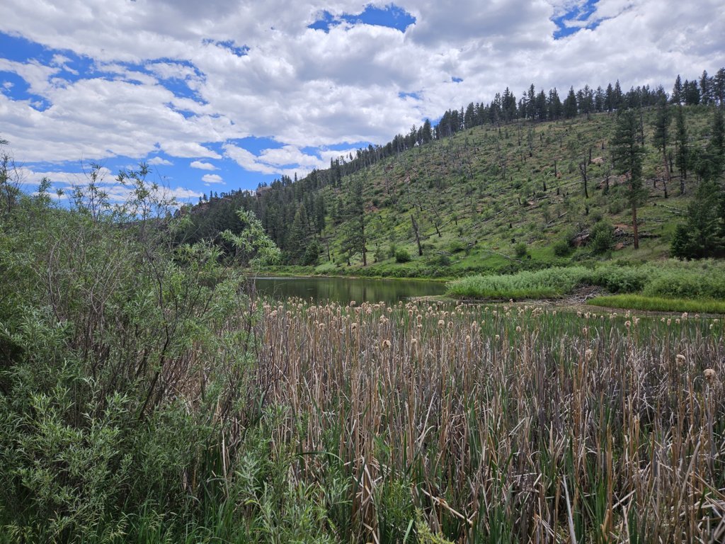 20250619_132449.jpg