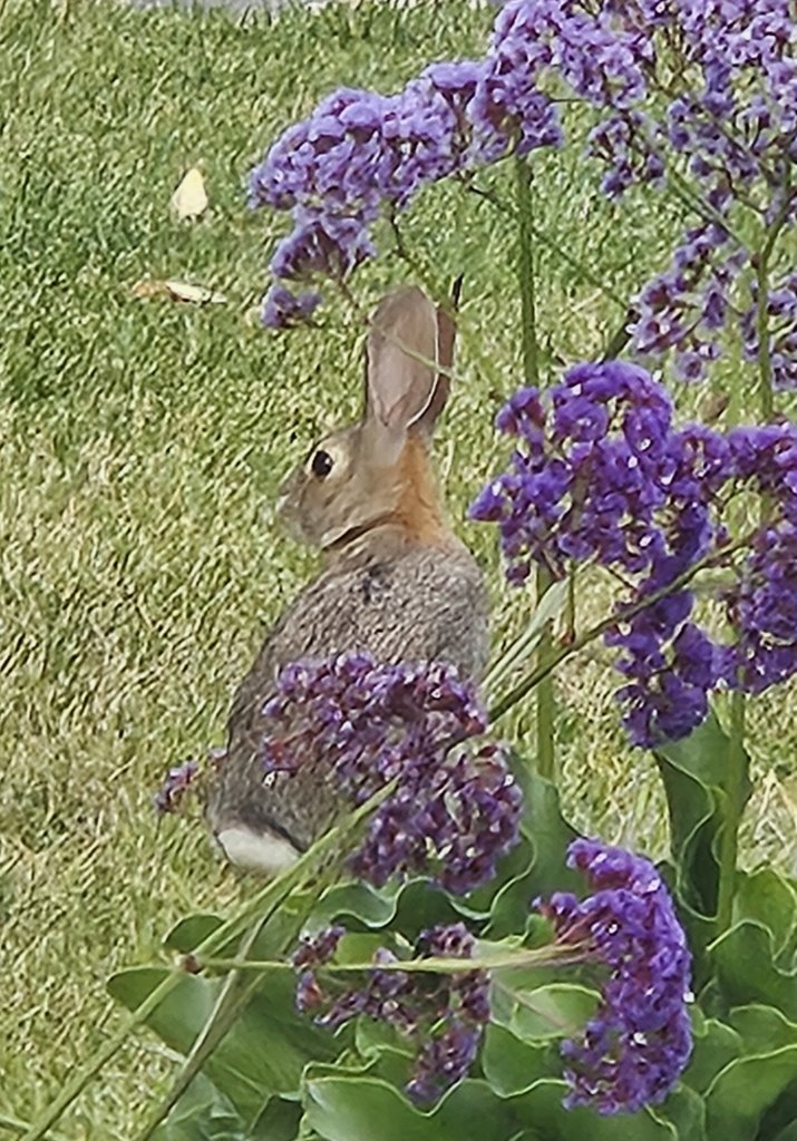 20250623_062104.jpg