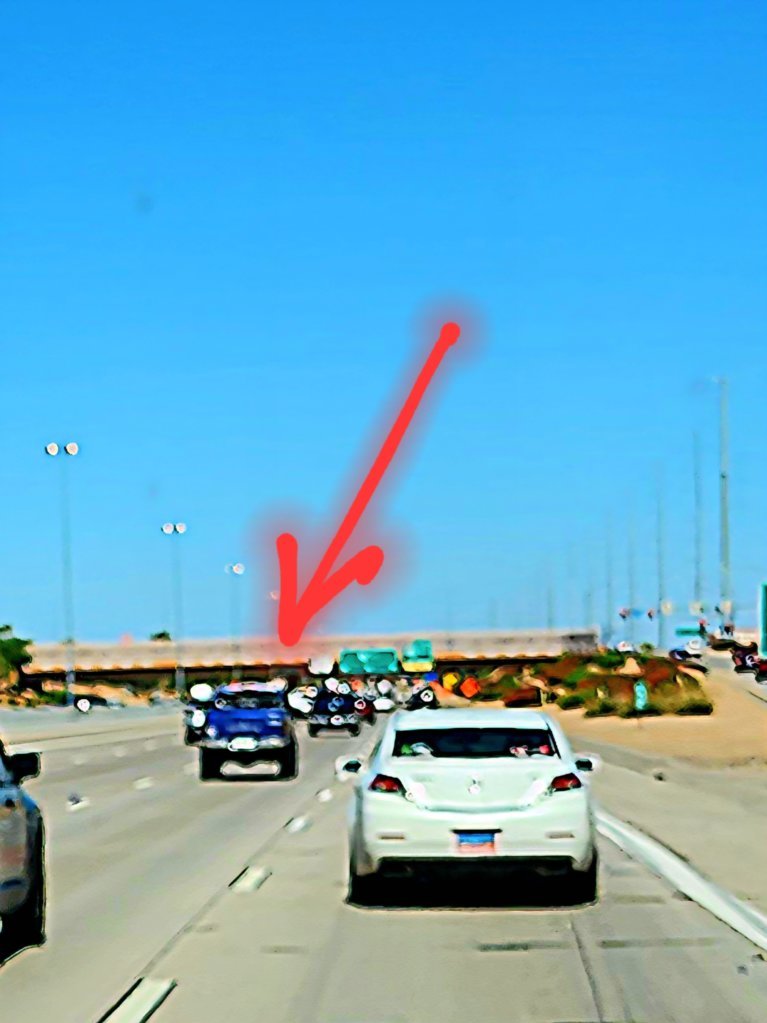 20250623_145001.jpg